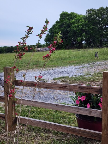 Terrell Farm & Events