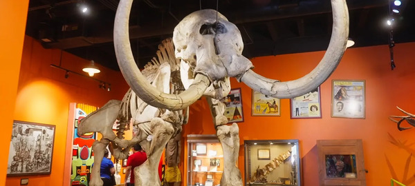Ripley's Believe It or Not!