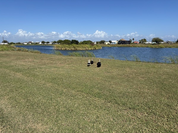 Bolivar Peninsula RV Park