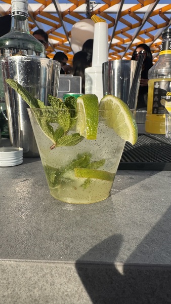 Sippin’ W| Princess Mobile Bar