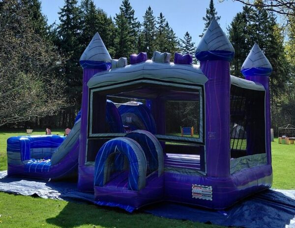 Party Vista Event Rentals