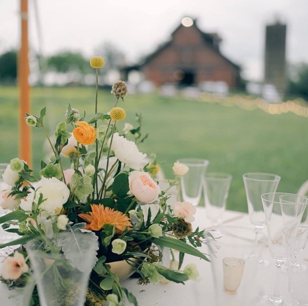 Belle Meadows Farm
