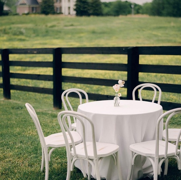 Belle Meadows Farm