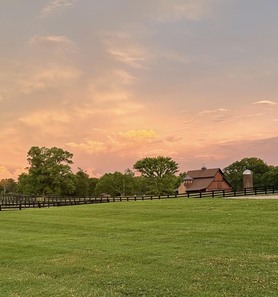 Belle Meadows Farm