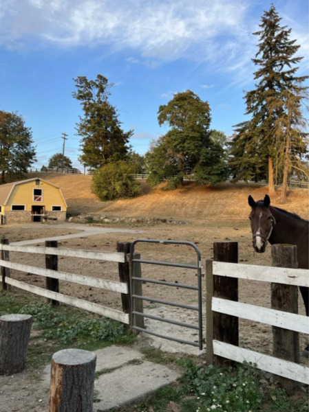 Seattle Farm
