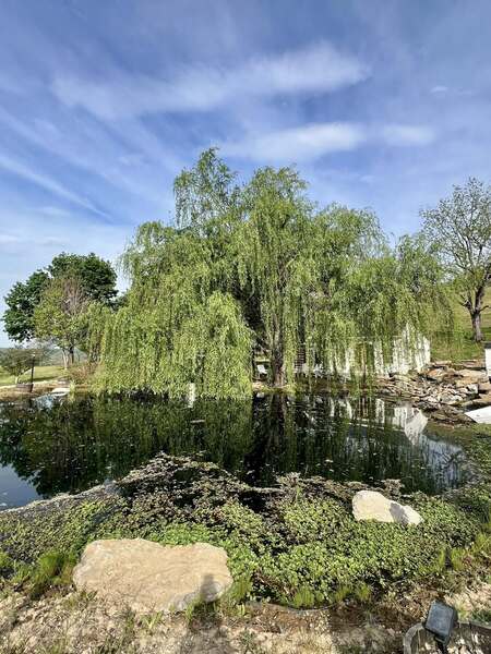 Spring Tavern Farm