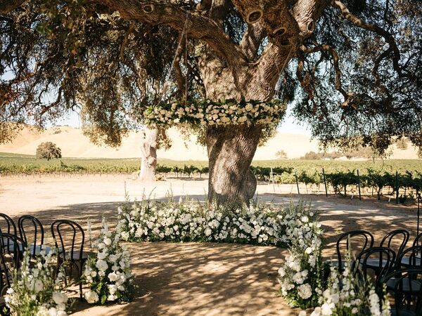 Cass Winery