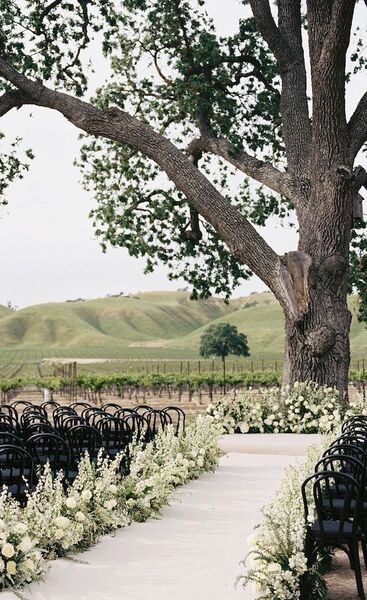 Cass Winery