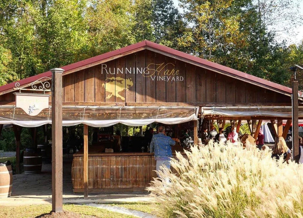 Running Hare Vineyard
