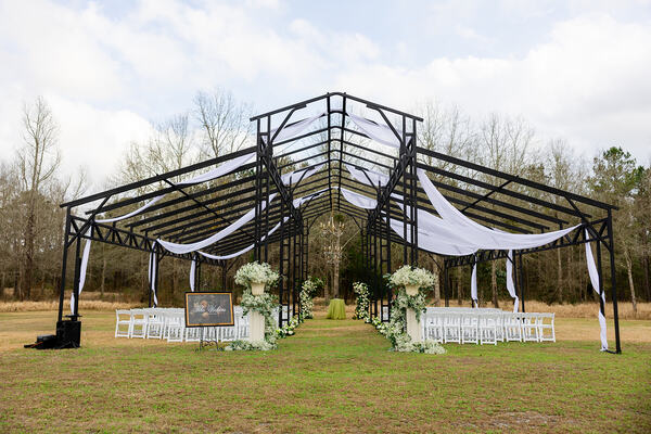 The Majestic Oaks