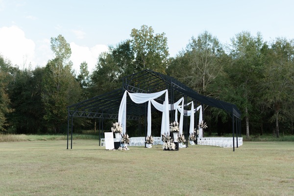 The Majestic Oaks