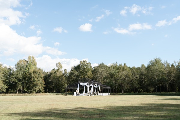 The Majestic Oaks