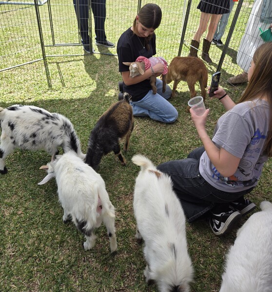 Milner Farms
