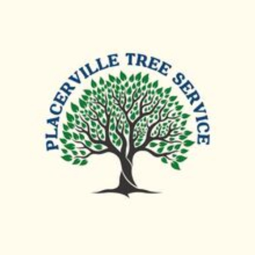 Placerville Tree Service