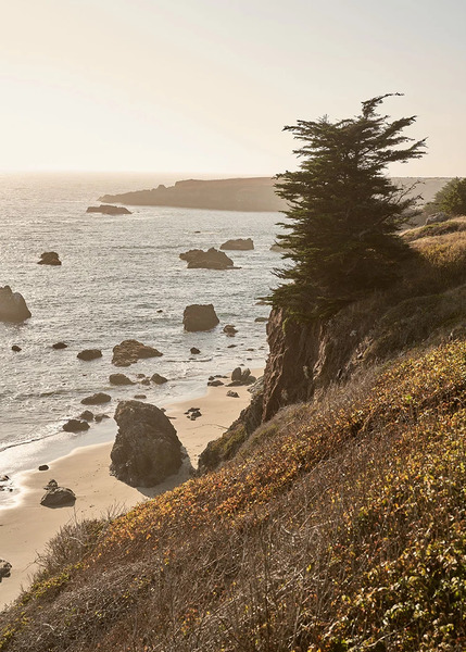 Lodge at Bodega Bay