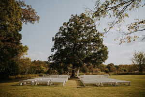 The Meadow