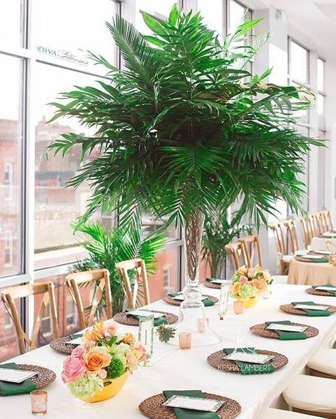 W Loft