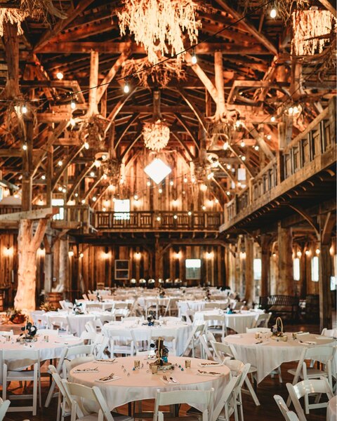 Swan Barn Door