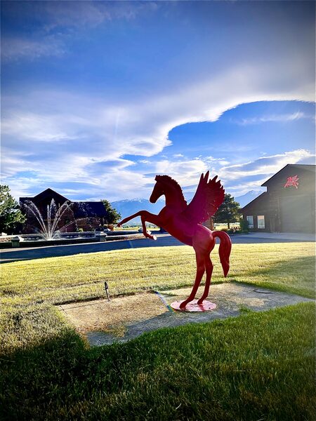 Flying Horse MT