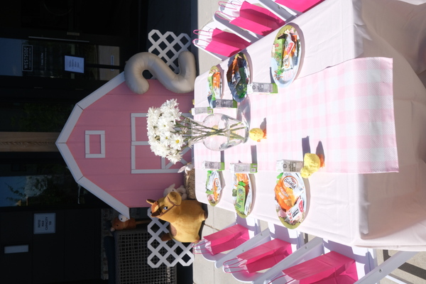 Concept Event Studio