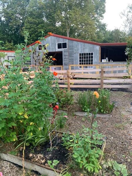 Elderberry Farms