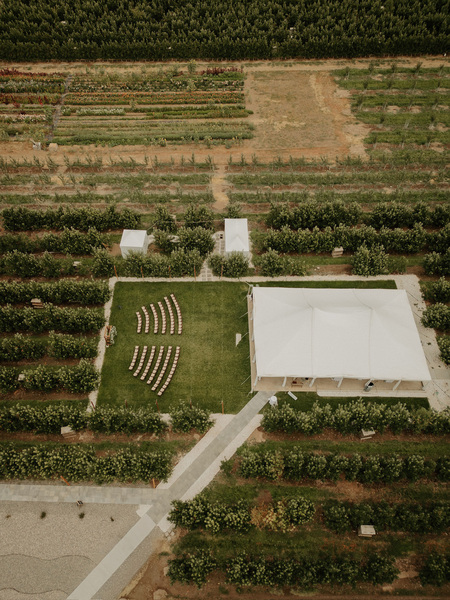 Hidden Orchards