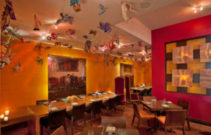 The Escondido Room