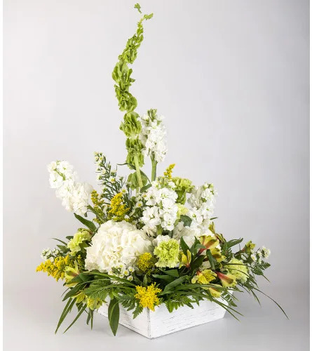 Petra Flower Co.