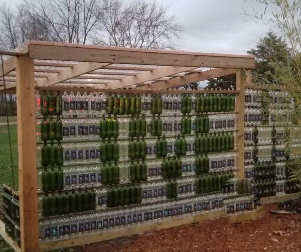 Renaissance Wine Garden