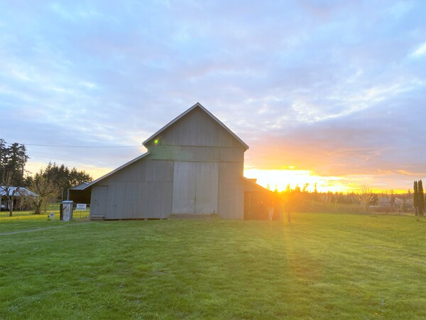 Honeymoon Farm