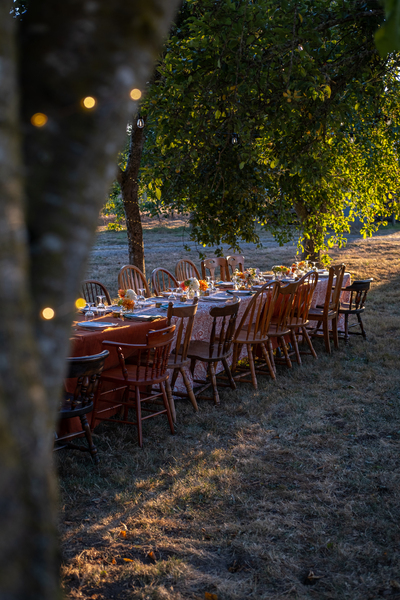 Honeymoon Farm