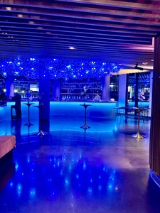 VIP Area