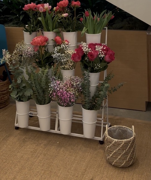 The Bloom Experience- Seattle