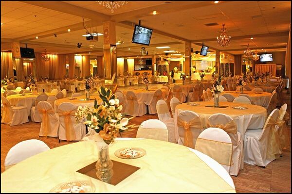 Oasis Special Events