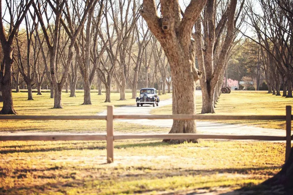 Old Freeman Family Farm