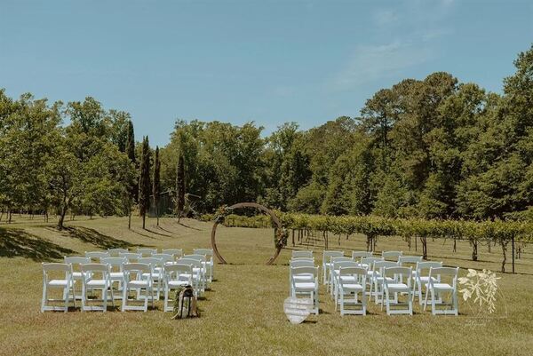 The Vines Of Lexington