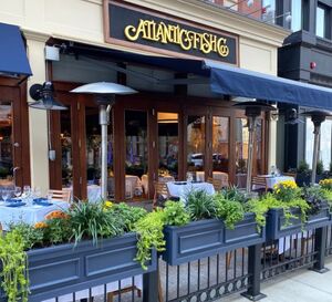 Outdoor Patio