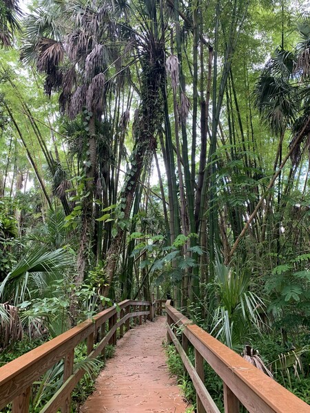 The Happehatchee Center