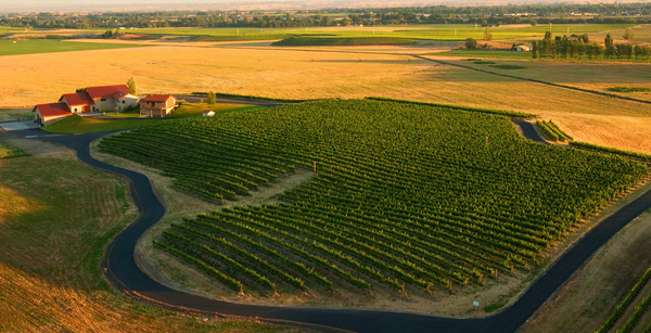 Pepper Bridge Winery