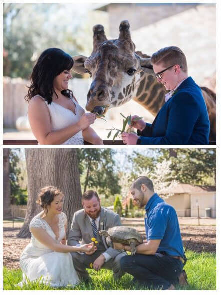 Sacramento Zoo