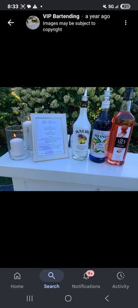 VIP Bartending