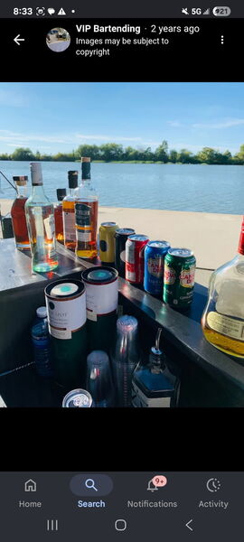 VIP Bartending
