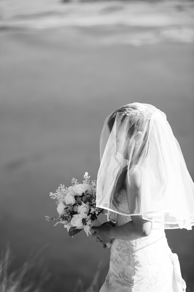 D. Hoffgaard Photography