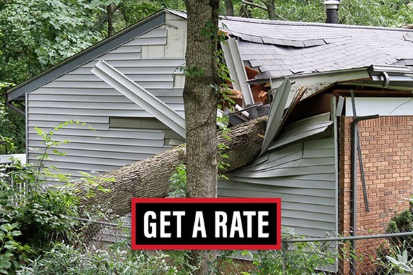All Insurance No Fees