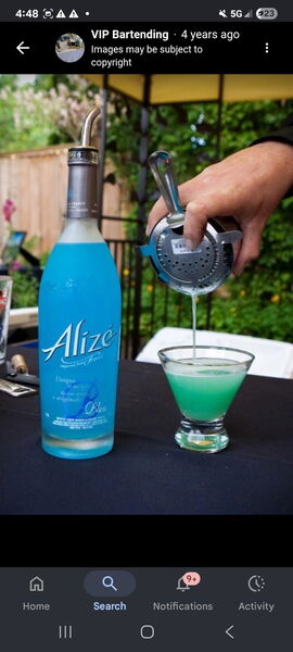 VIP Bartending