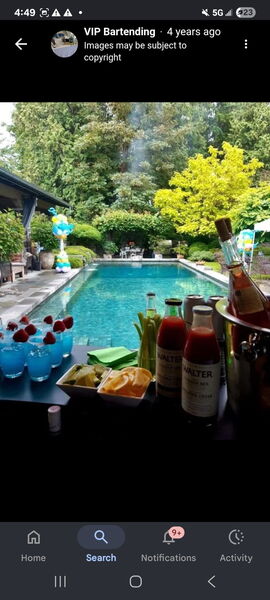 VIP Bartending