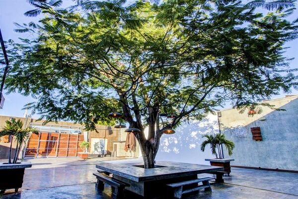 MAPS Backlot