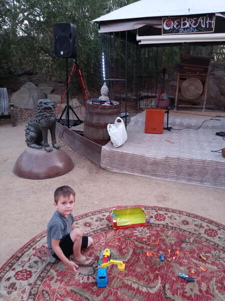 The Social Garden