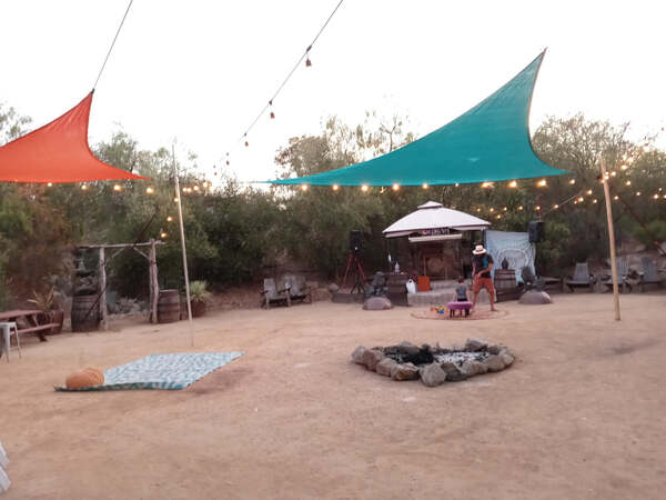 The Social Garden