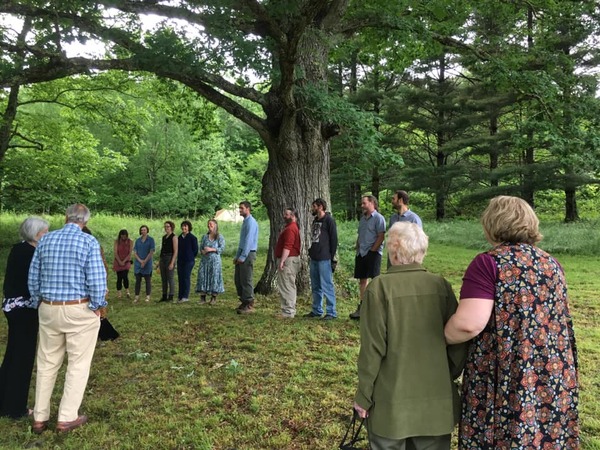 Yew Mountain Center